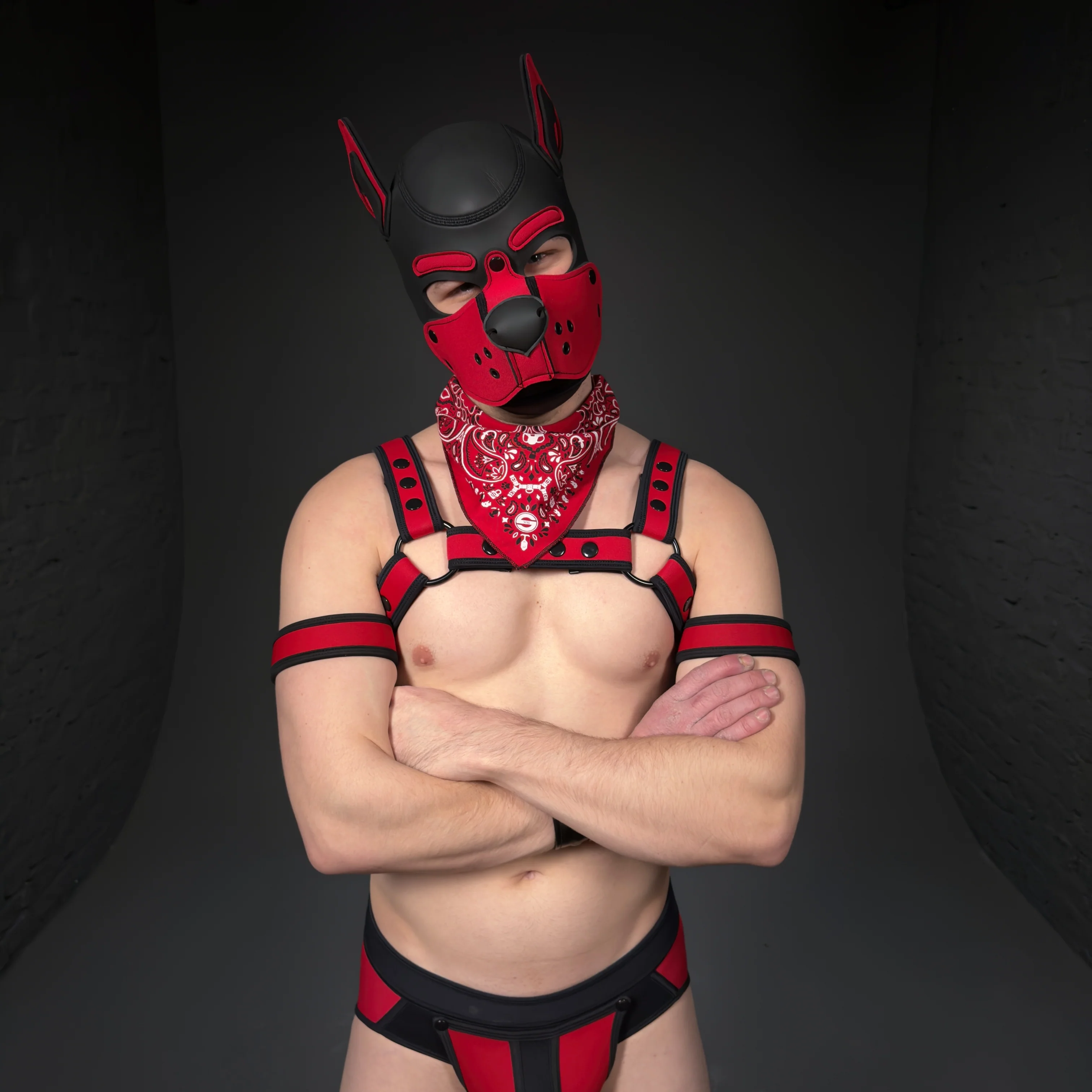 Thumbnail 3